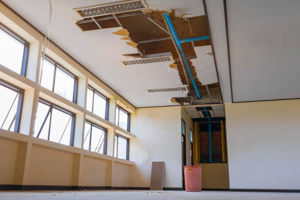 Professional Water damage restoration in Forest City, IA