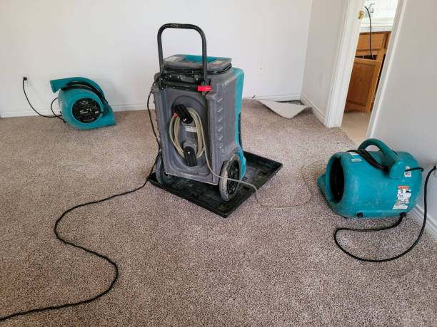 Best 24-hour water damage restoration  in Forest City, IA
