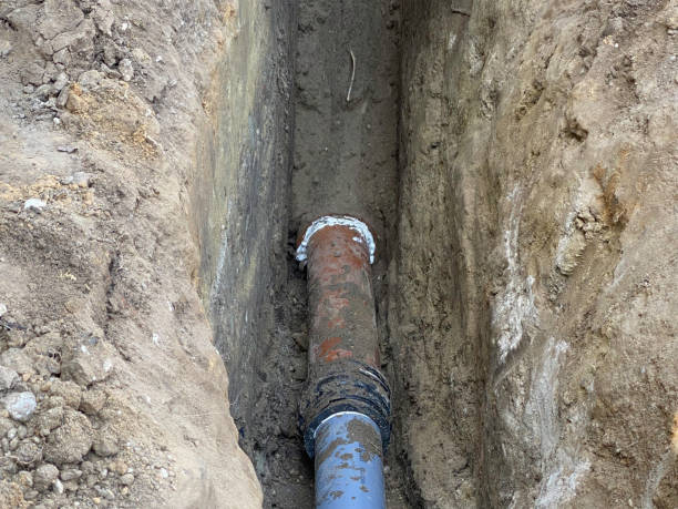 Best Residential water damage restoration  in Forest City, IA
