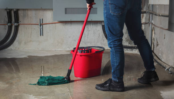 Best Ceiling water damage repair  in Forest City, IA