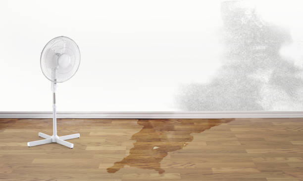 Best Emergency water damage restoration  in Forest City, IA