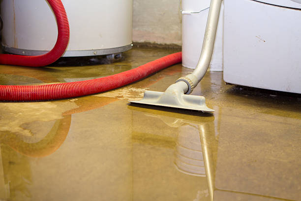 Best Flooded house restoration  in Forest City, IA