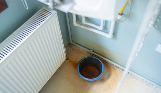 Best Commercial water damage restoration  in Forest City, IA
